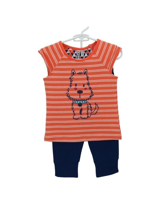 CR Kids Other - Girls 3T 2-Piece Pant Set Orange & Blue Dog Graphic Striped Toddler